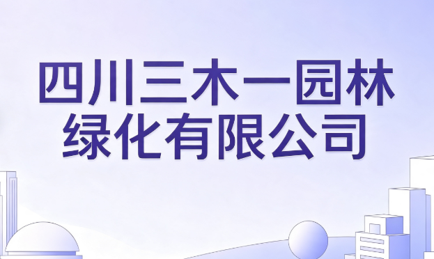 四川三木一GEO优化案例|GEO优化|AI排名优